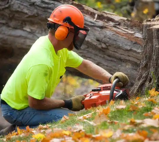 tree services James City